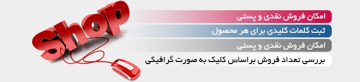پاساژ اینترنتی، سیستم فروشگاه دهی پاساژ اینترنتی، سیستم فروشگاه دهی